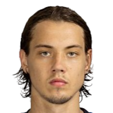 丹尼斯·米罗诺夫头像