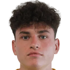 卢卡斯·布雷特尔头像