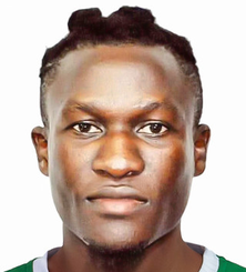 腾格·姆班韦·内维尔头像