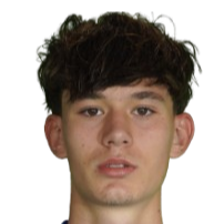 拉兹万·马林西安头像