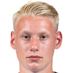 罗科·罗伯特·辛头像