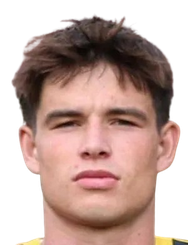 阿林·库默头像