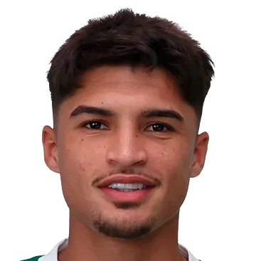 拉森·托纳·费雷拉·多斯桑托斯头像