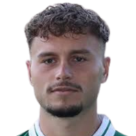 尼科·格林布斯头像