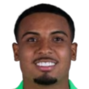 拉斐尔·巴博萨·库蒂尼奥头像