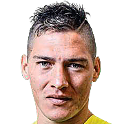 塔莱斯·卡伊纳·瓦斯托夫斯基头像