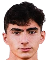 哈桑·图兰头像