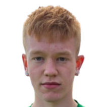 比尔基尔·托斯坦森头像