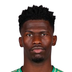 阿里·马赫达维头像