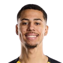 布里格姆·拉森头像