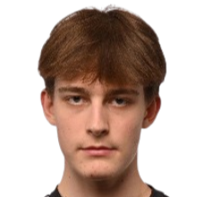 约翰内斯·莱梅茨头像