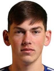 多马戈伊·维多维奇头像