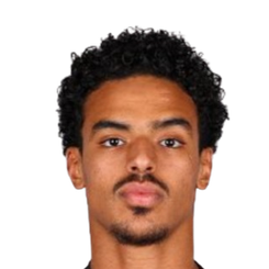 哈米德·尚基提头像