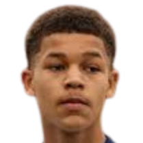 马赫迪·尼科尔-贾祖里头像