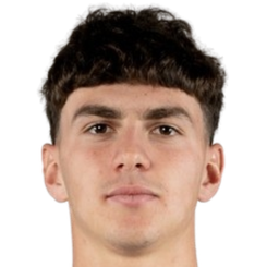 洛伦佐·安赫莱头像