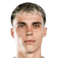 阿尔明·梅萨诺维奇头像