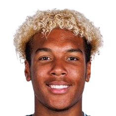 莱昂内尔·沃法克头像