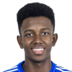 维托尔·雨果头像