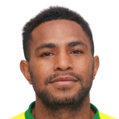 沃利·里瓦尔多头像