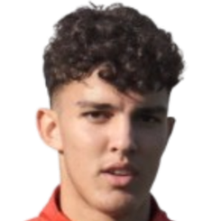 凯雷姆·延达尔头像