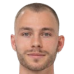 朱利叶斯·弗里伯格·斯考格头像