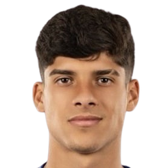 吉列尔梅·内瓦头像