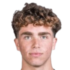 埃尔马斯纳乌伊头像