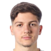 梅杰恩·卢姆尼察头像