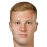 弗拉迪萨沃维奇头像