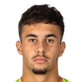 多米尼克·切利亚头像