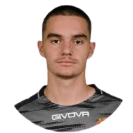 拉扎尔·巴莱维奇头像