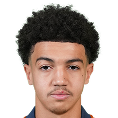 阿里·侯赛因头像