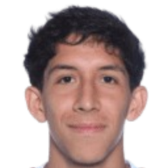 克里斯蒂安·巴尔迪维亚头像