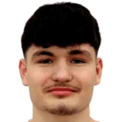 蒂诺·萨伯蒂奇头像