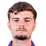 阿里昂·苏莱曼尼头像