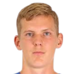 米勒·埃里克森头像