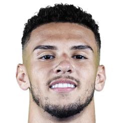 吉列尔梅·梅拉·费雷拉·阿尔维斯头像