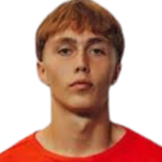 凯文·波德戈尼头像