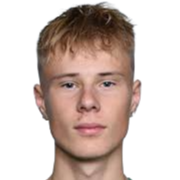 加布里埃尔·霍尔森头像