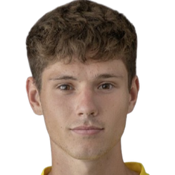 雅库布·维尔切克头像