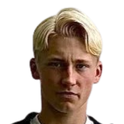 罗密欧·阿伦尼乌斯·利安德森头像