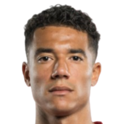 洛朗·勒莫因头像