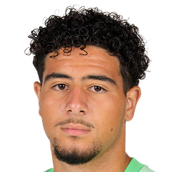 艾明·埃尔·哈尼头像