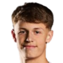 克里斯蒂安·斯库尔夫·哈兰德头像