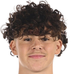 洛伊克·阿尔瓦雷斯·费尔南德斯头像