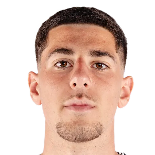 尼古拉斯·彼得头像