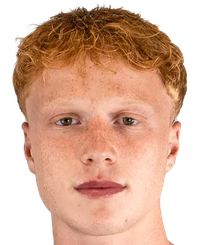 安德烈·特洛伊纳尔斯基头像