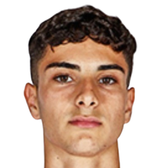 若昂·佩德罗·席尔瓦·贡萨尔维斯头像