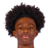 雅尼斯·巴斯塔罗德头像