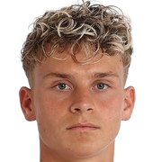 马克西米利安·伊布拉希莫维奇头像